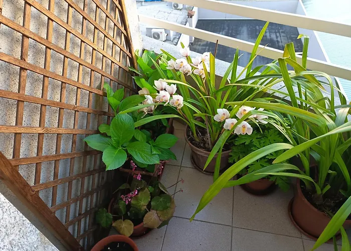 Vivienda Caseiro