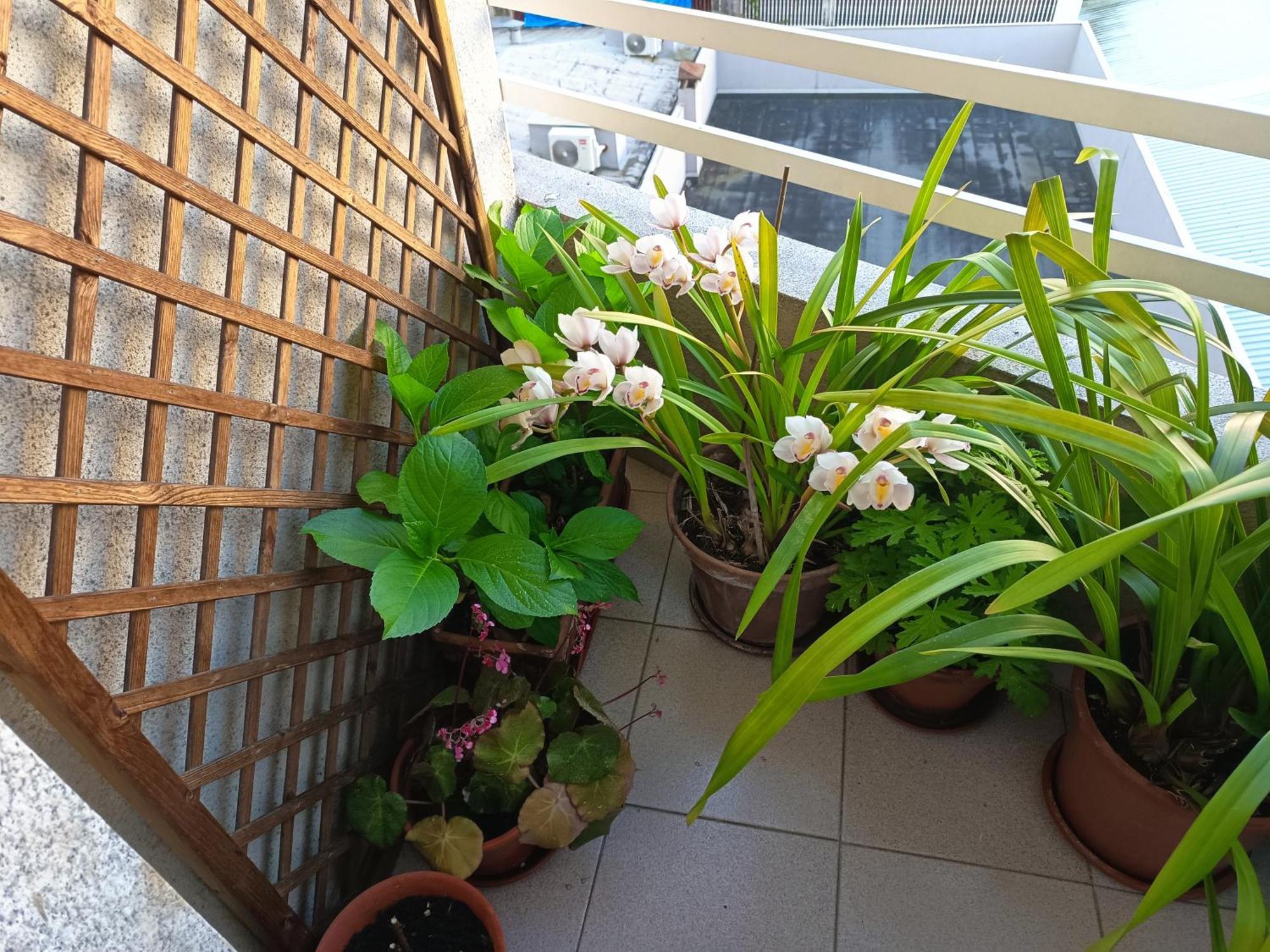 Vivienda Caseiro Apartment *